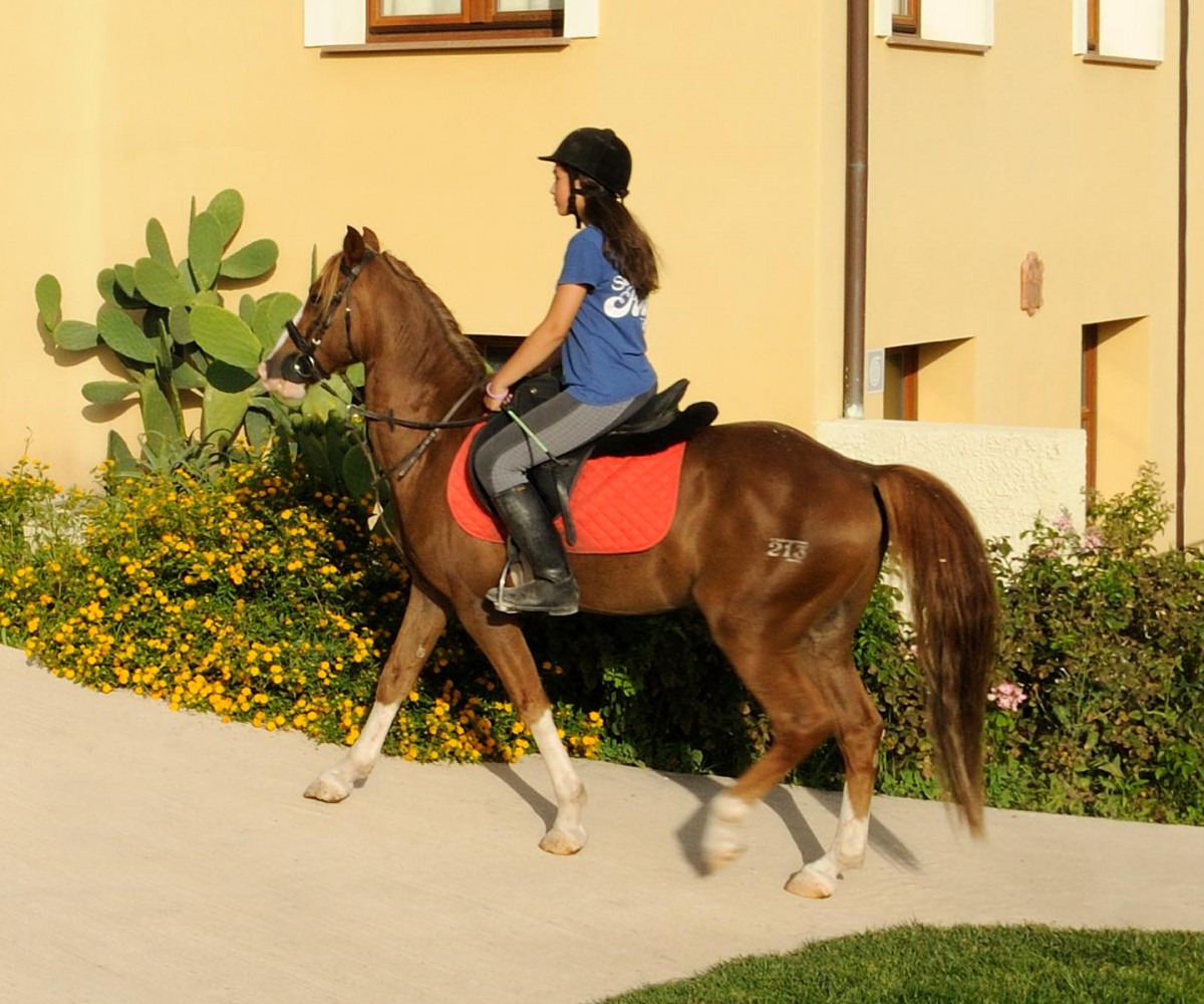 Hotel Alghero_Resort_Country_Hotel-Horse-Riding-02