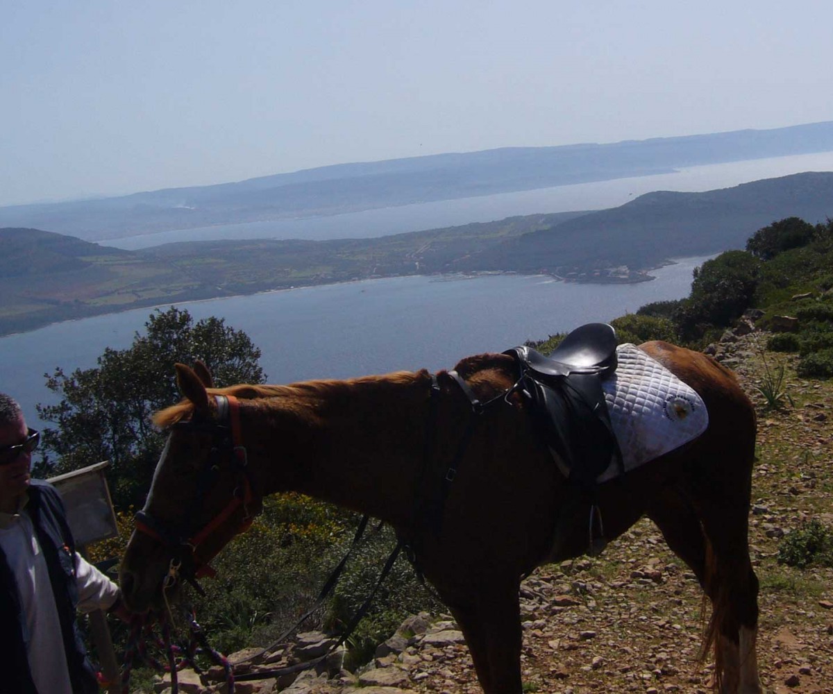 algheroresort-horseriding-005